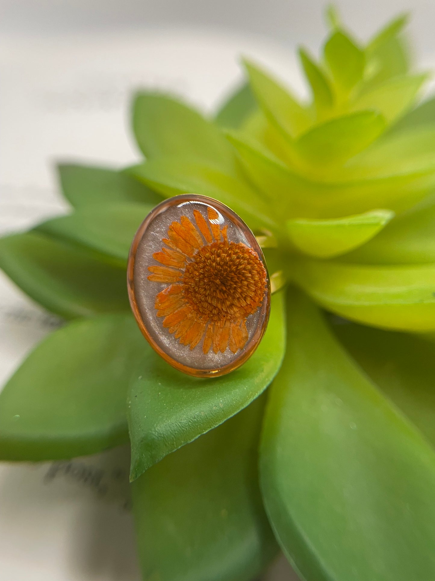 Oval Floral & Shell Rings – Gold Stainless Steel (Adjustable)
