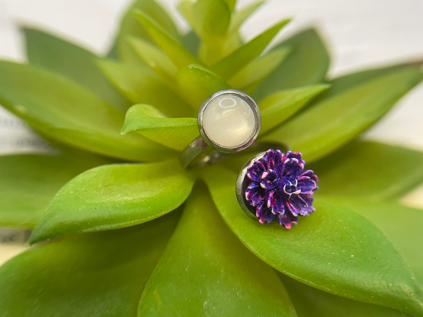 Double Cabochon Ring – Stainless Steel (Adjustable)