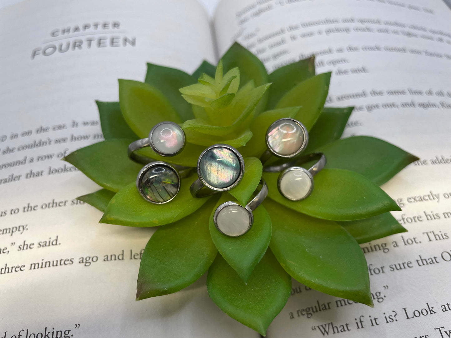 Double Shell Cabochon Ring – Stainless Steel (Adjustable)