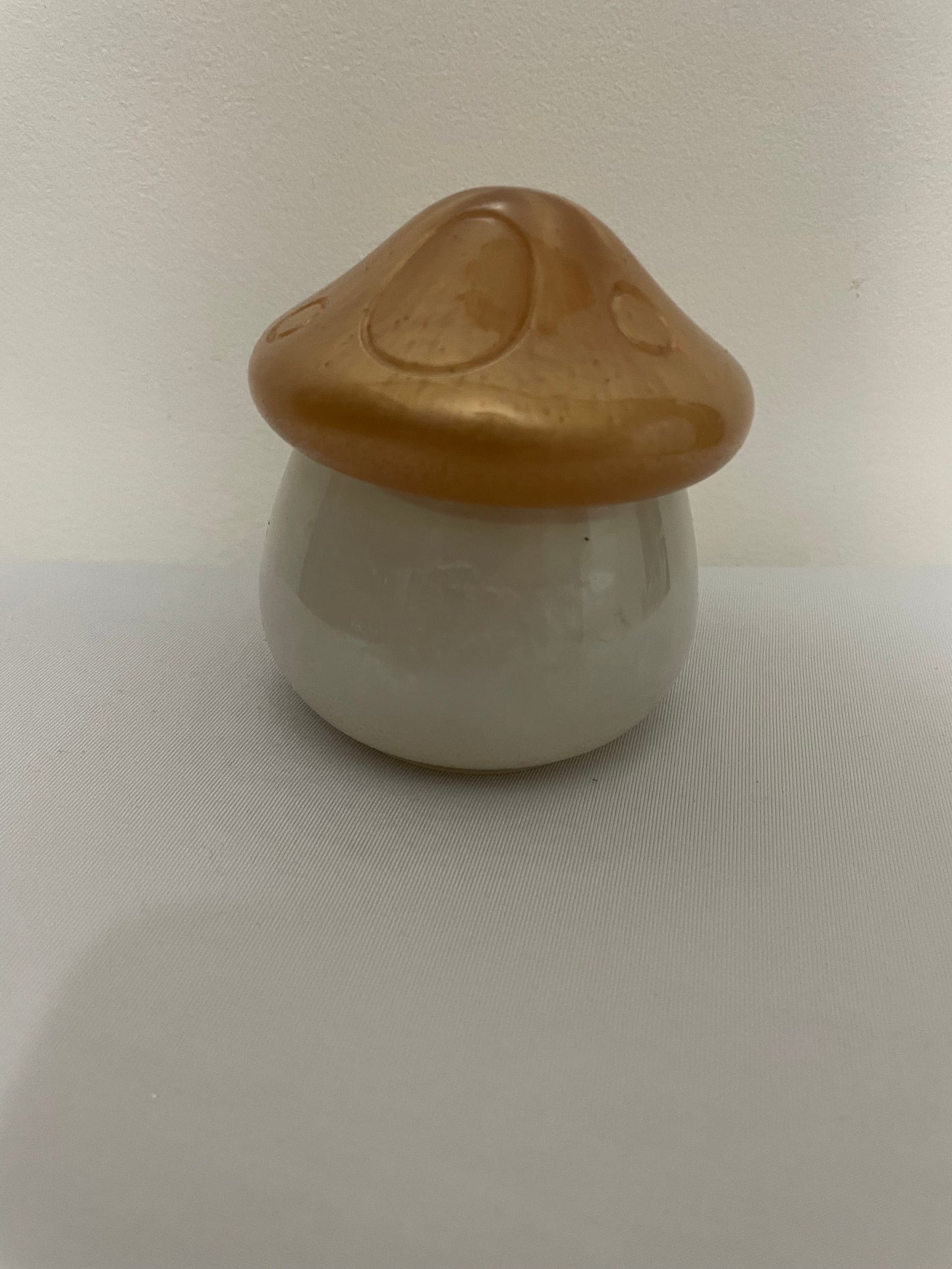 Resin Mushroom Container with Lid π