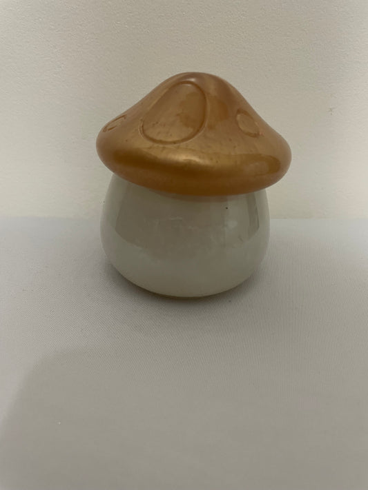 Resin Mushroom Container with Lid 🍄