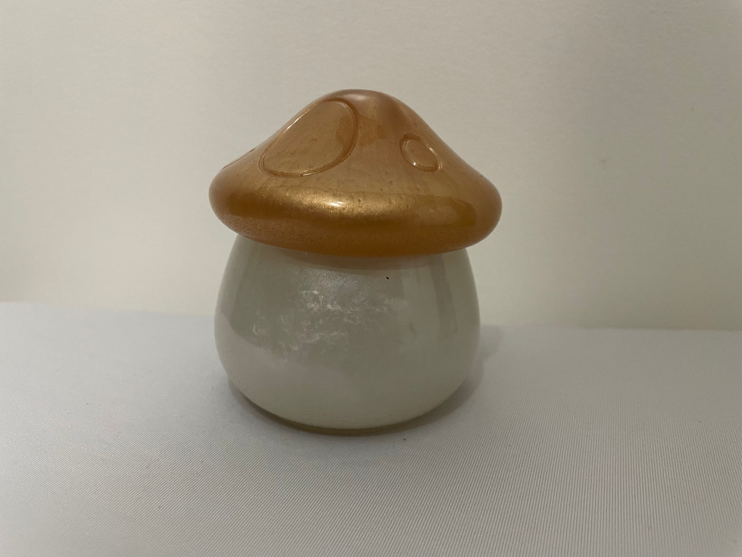 Resin Mushroom Container with Lid π