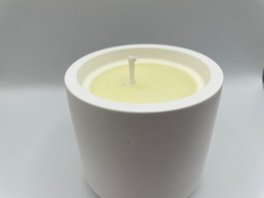 White Eco-Resin Candle – Forest of Fir Soy Wax