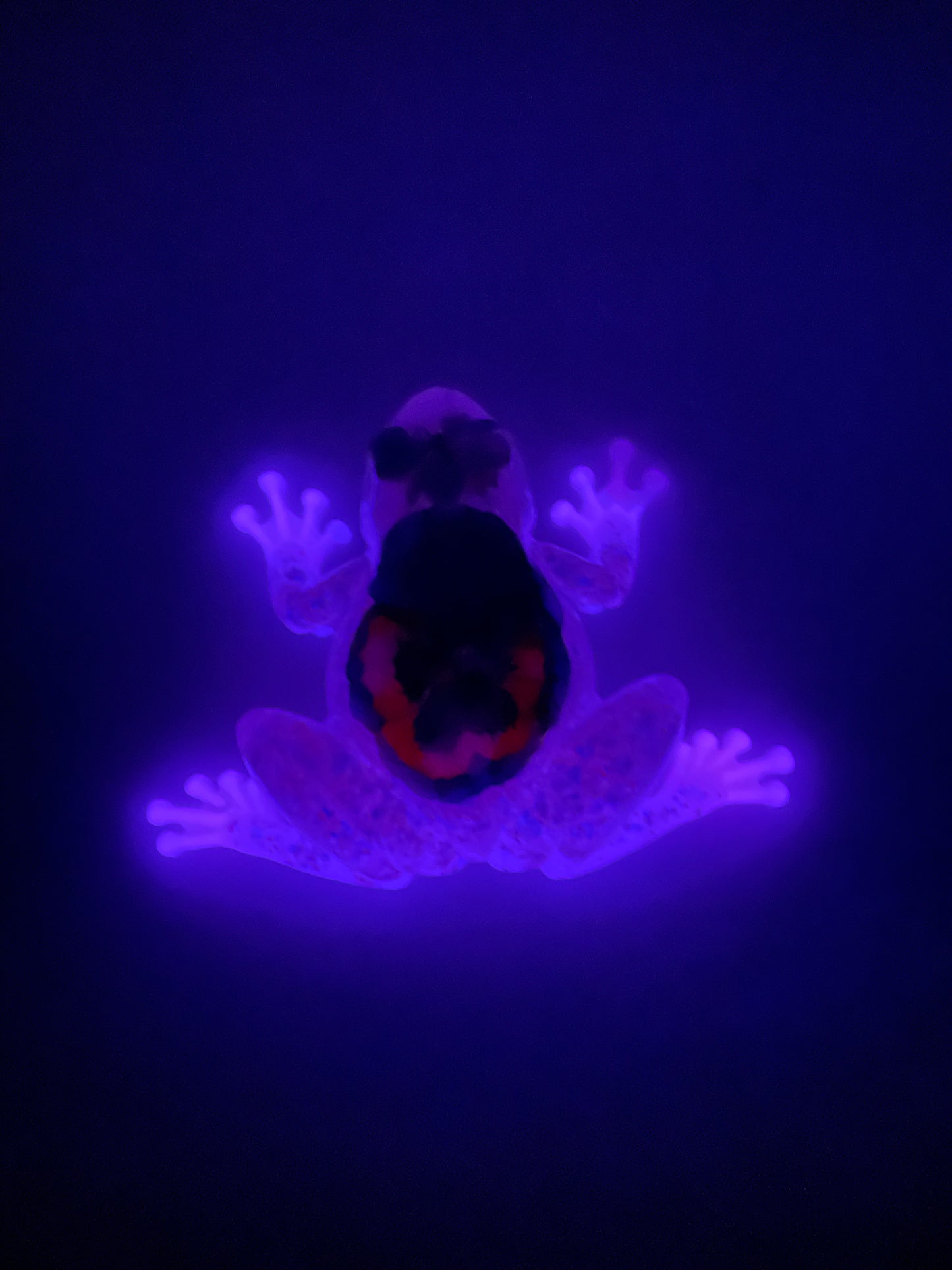 Resin Frog Figurine with Real Flowers