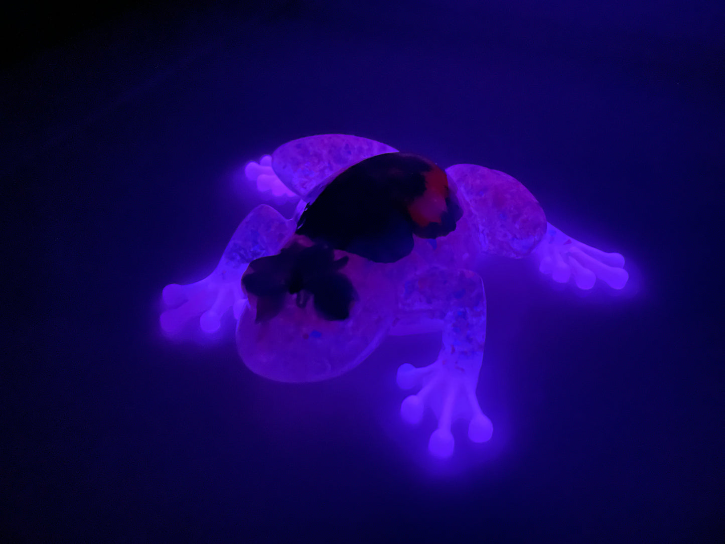 Resin Frog Figurine with Real Flowers