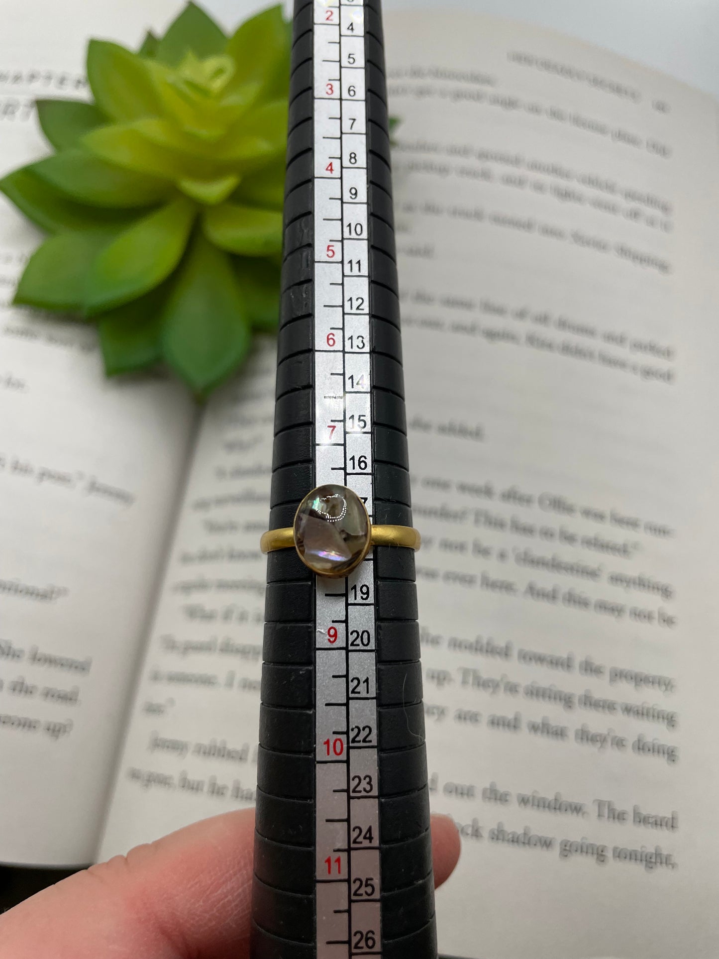 Oval Shell Gold Ring- Size 8US