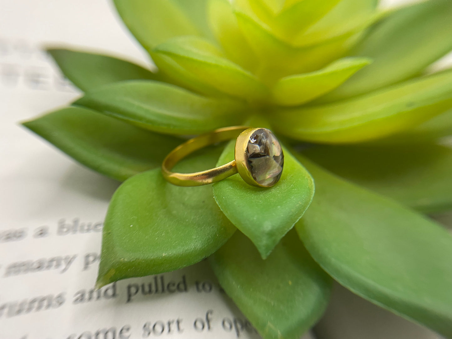 Oval Shell Gold Ring- Size 8US