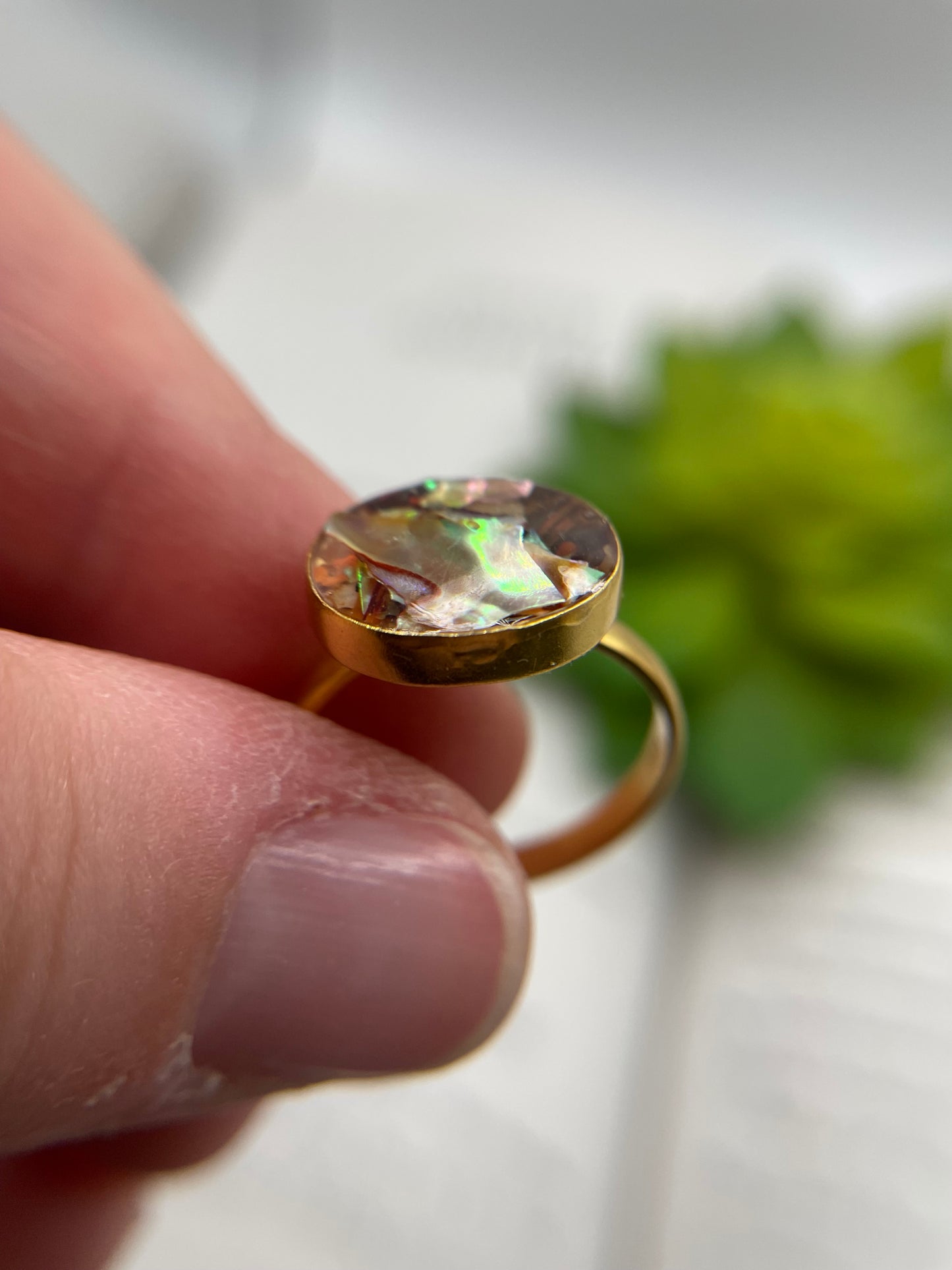 Large Round Shell Gold Ring-Size 8US