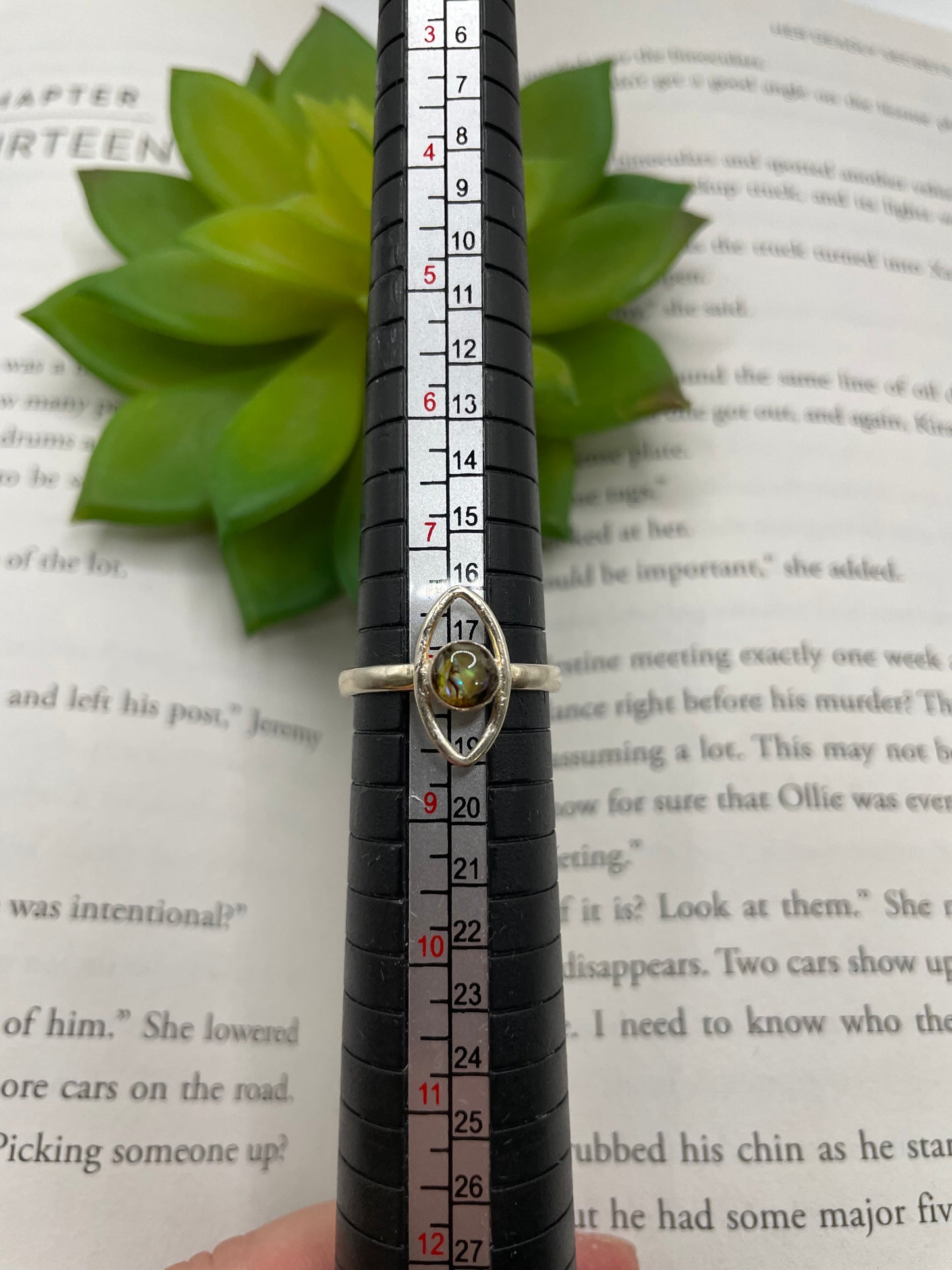 Round Shell Halo Ring- Size 8US