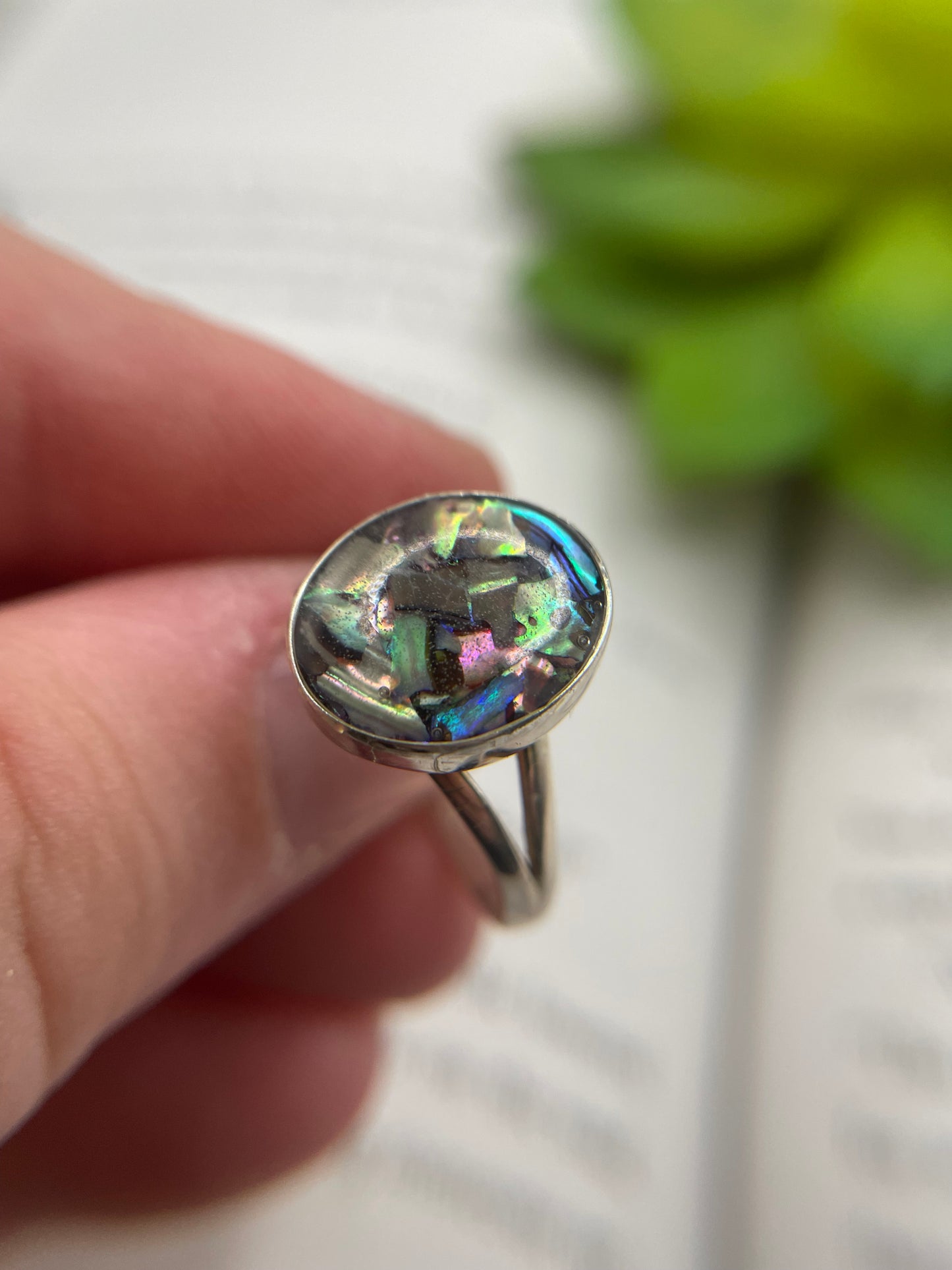 Split Shank Ring with Shell  – Size 8 US