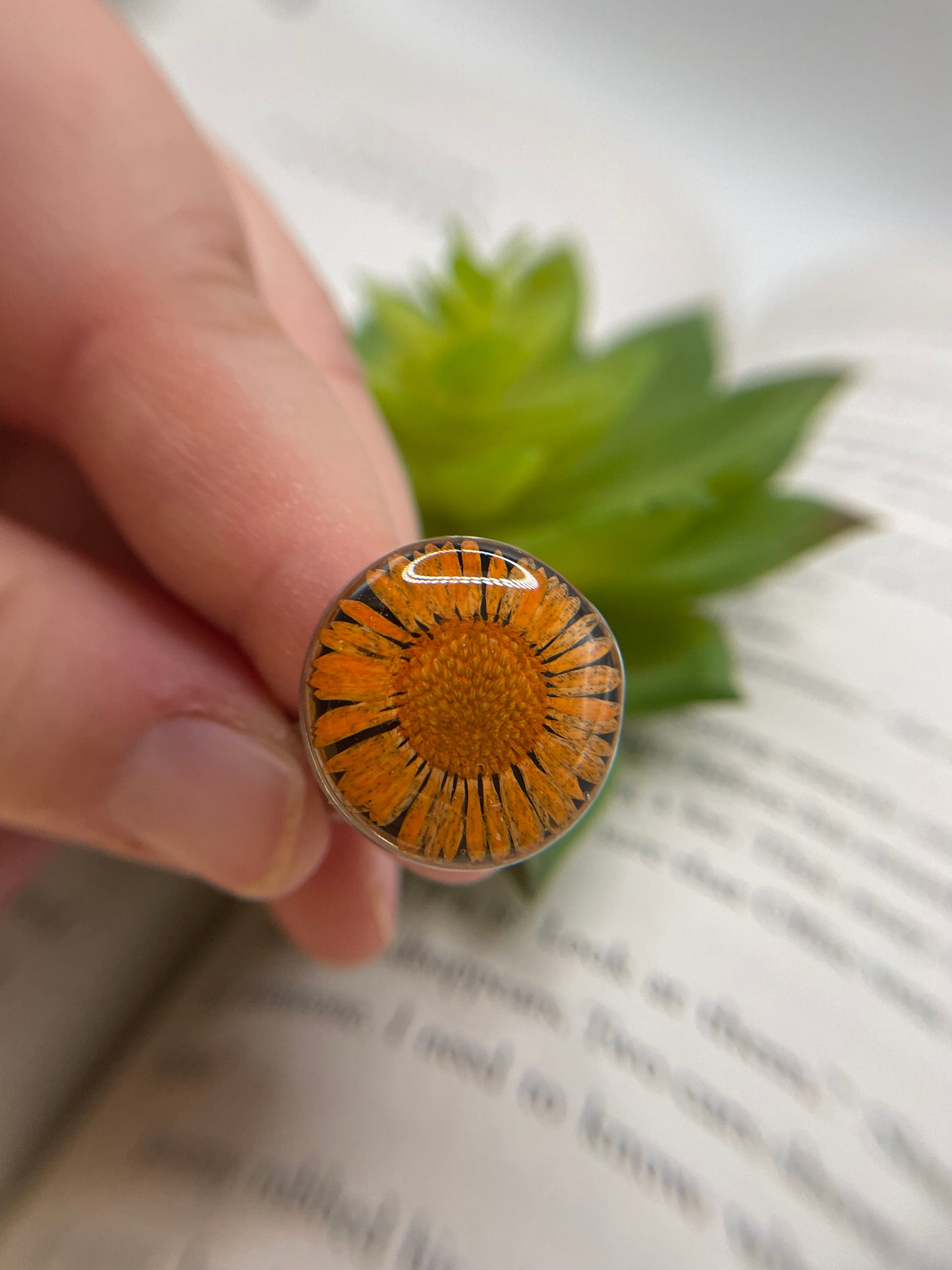 Pressed Daisy Resin Ring – Stainless Steel (Adjustable)