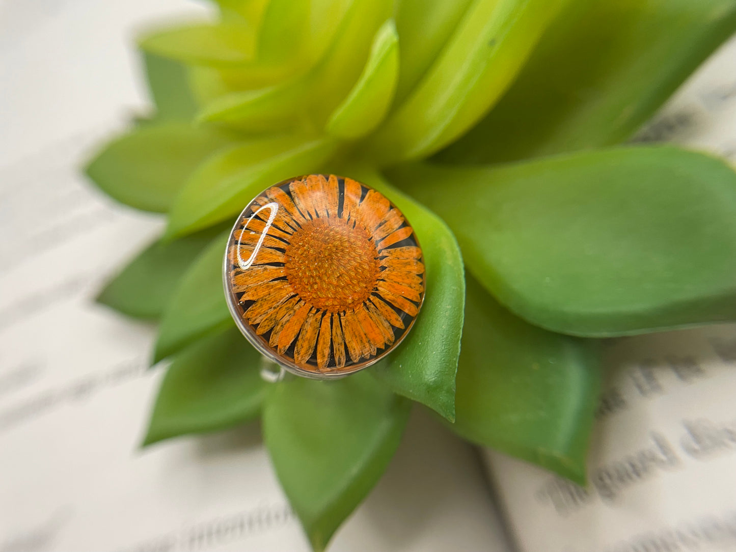 Pressed Daisy Resin Ring – Stainless Steel (Adjustable)