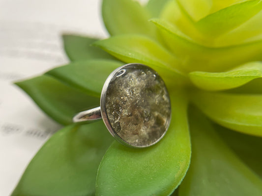 Shell Resin Ring – Stainless Steel (Adjustable)