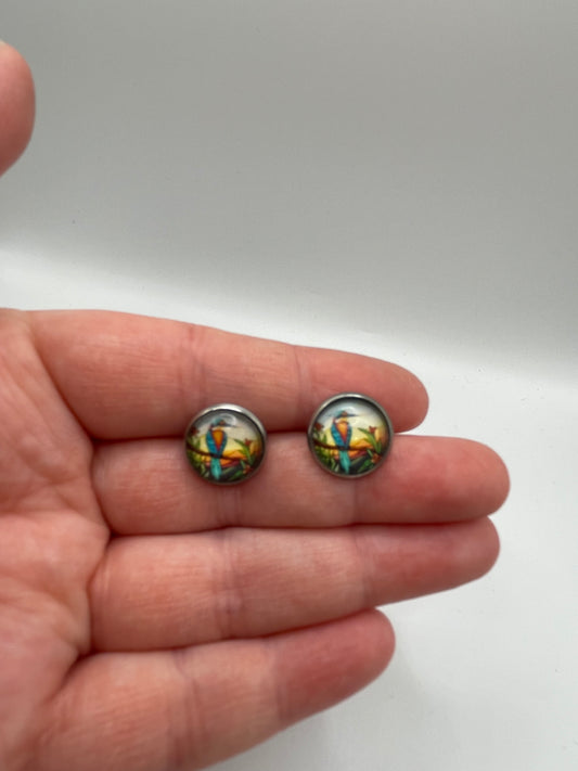 Boutons d’oreilles oiseau tropical – Acier inoxydable+Sans Nickel 