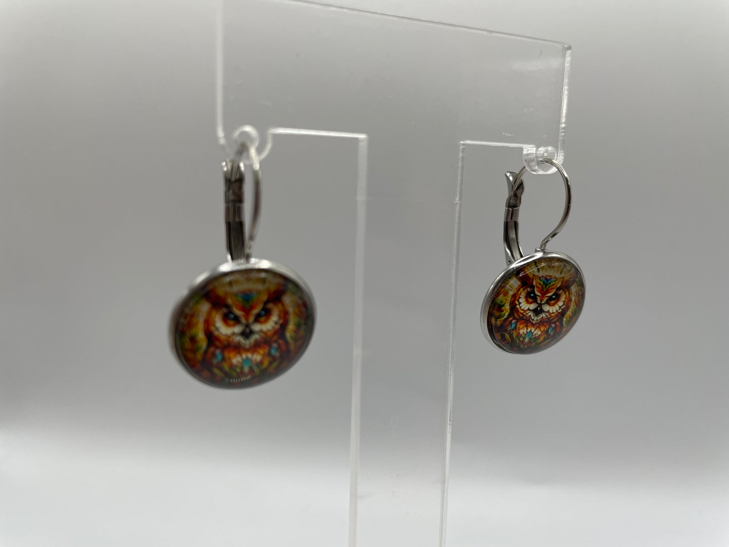 Colourful Owl Leverback Earrings – Stainless Steel+Nickel Free