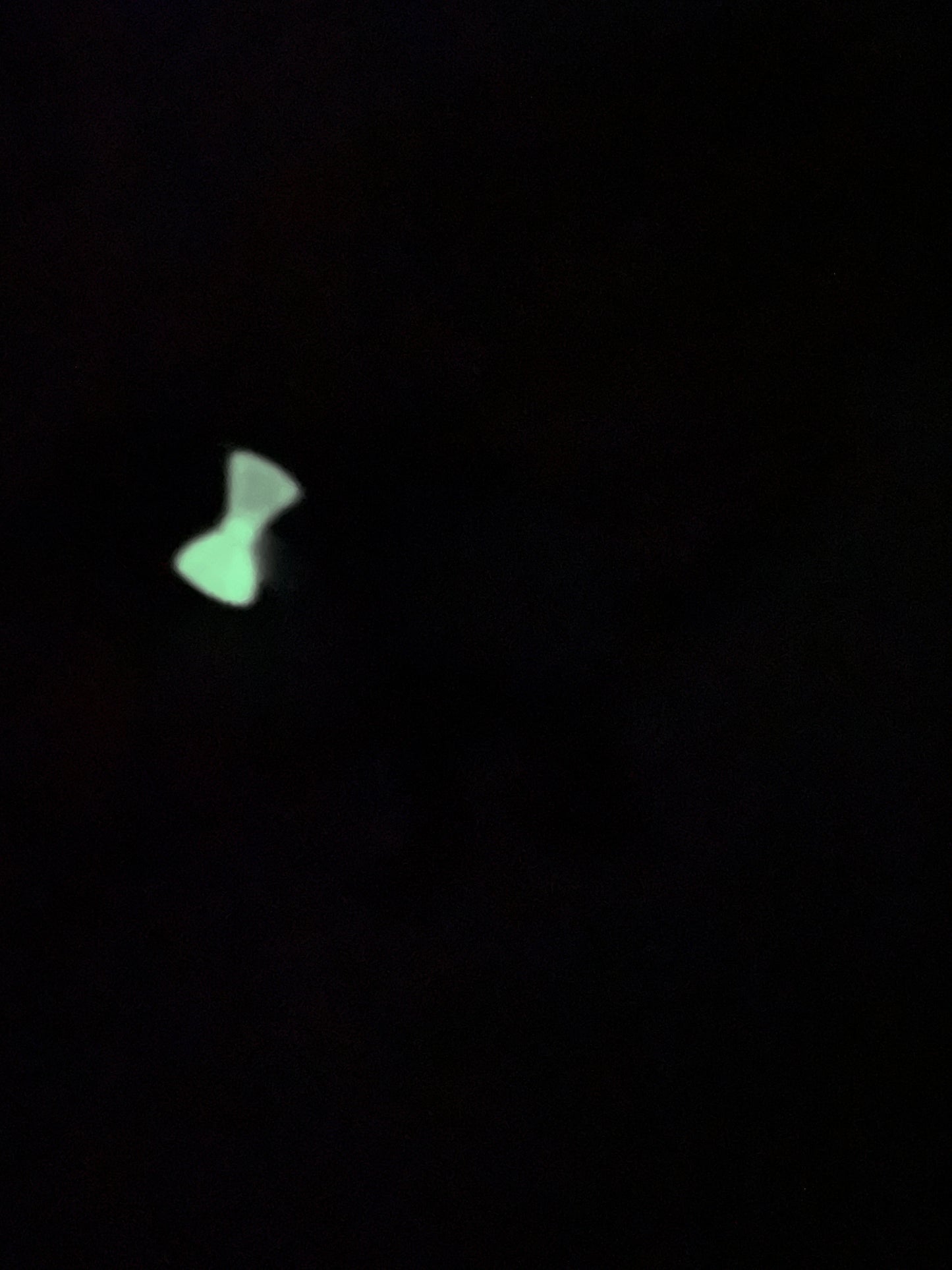 Dog Pooping Resin Keychain (Glow-in-the-Dark Bow Tie)