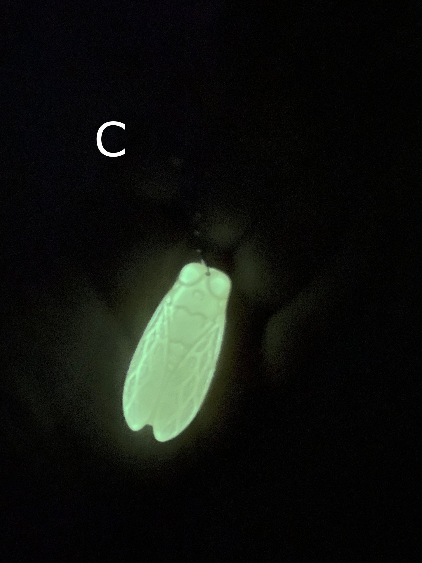 Cicada Keychain – Handmade Resin Insect Charm