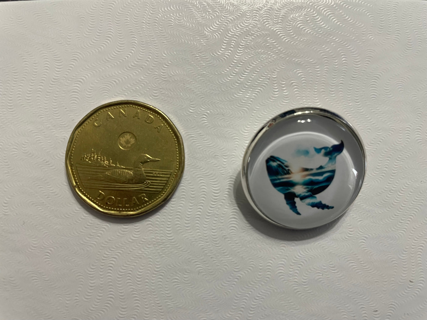 Broche Baleine – 25 mm