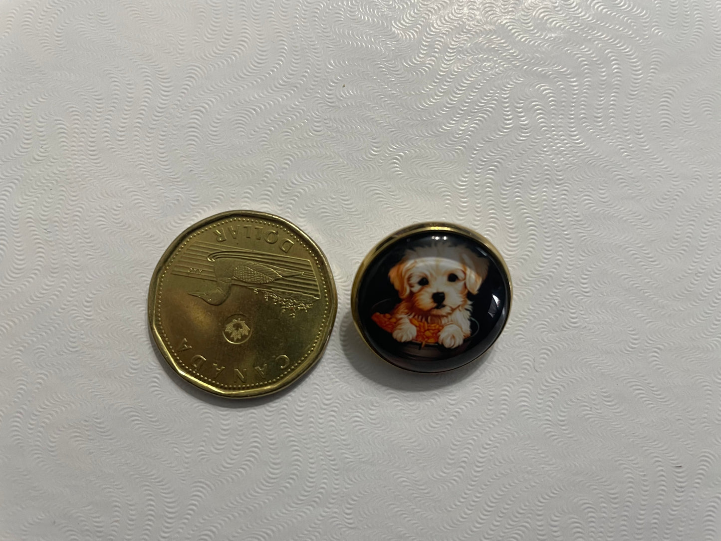 Broche Chiot – 20 mm