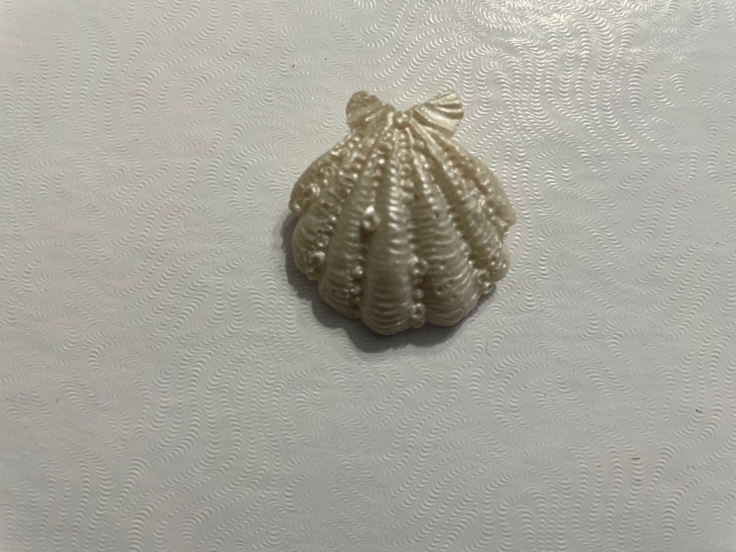 Broche Coquillage en Résine Texturé