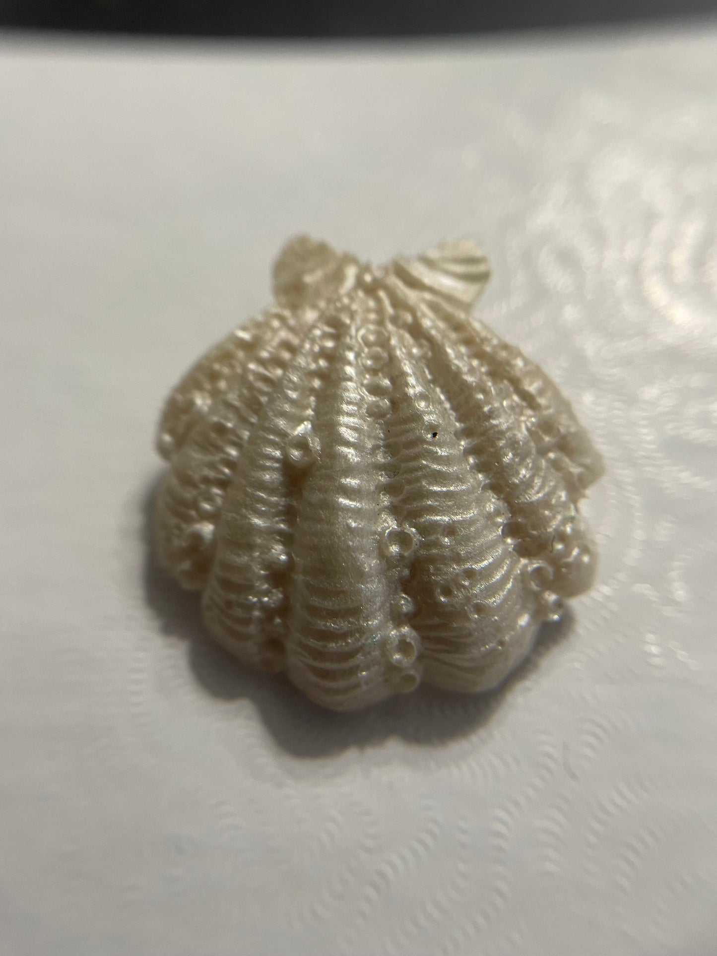 Broche Coquillage en Résine Texturé