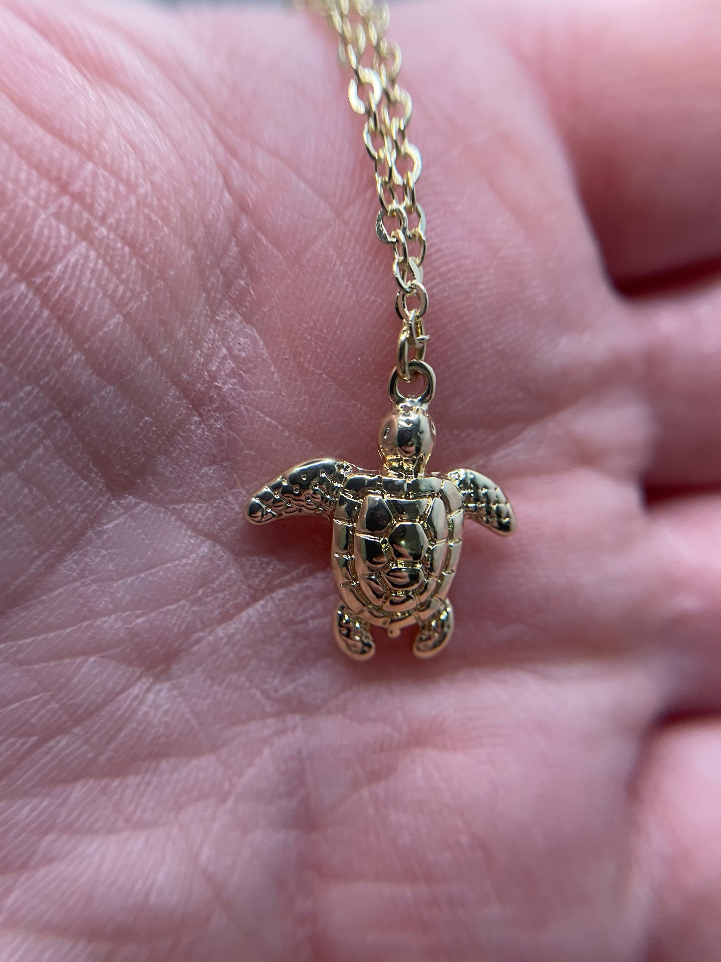 Collier Tortue Doree-20''