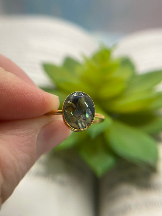 Gold Shell Oval Ring - Size 9US