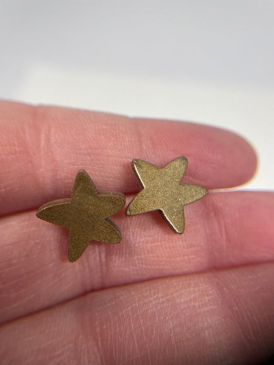 Bouton d'oreille Etoile-Sans Nickel