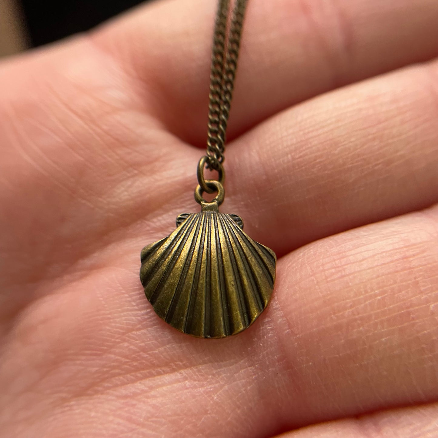 Ensemble Petit Coquillages Bronze 19 pouces