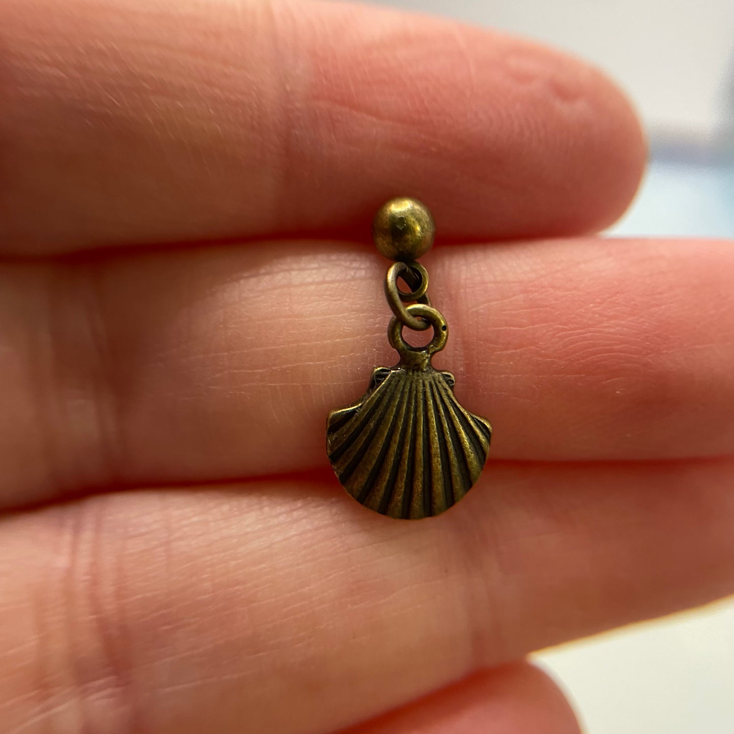 Ensemble Petit Coquillages Bronze 19 pouces