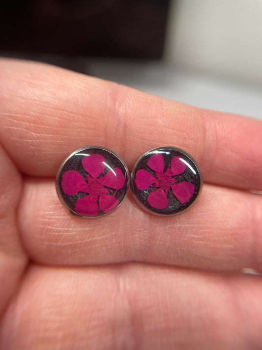 Pink dried Flower Stud Earrings-Stainless Steel