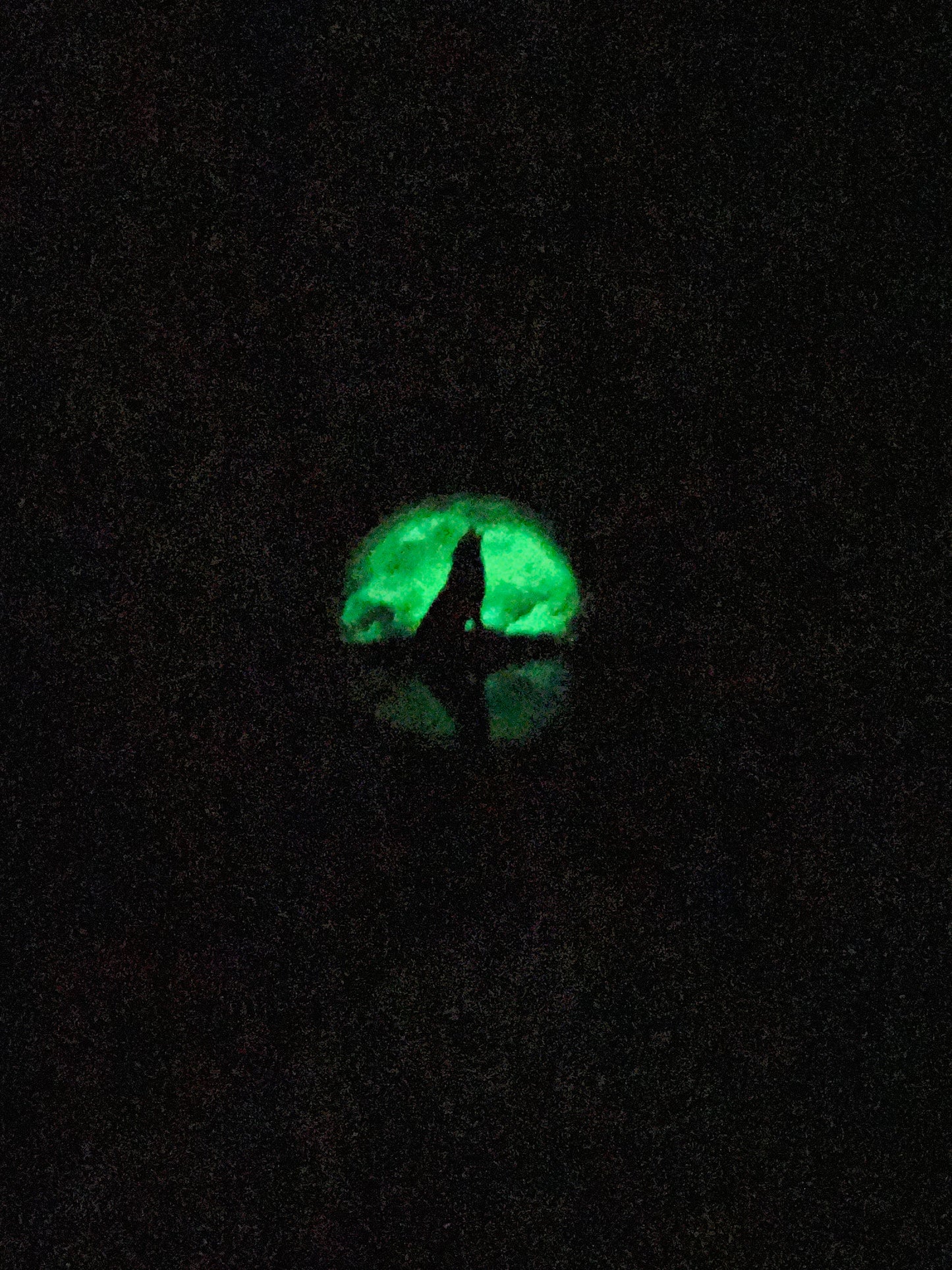 Ensemble Loup Hurlant– Brille dans le Nuit