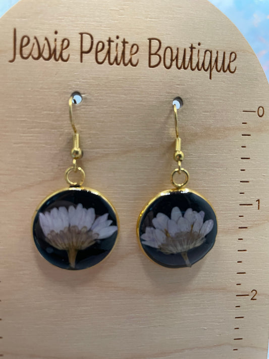 Dried White Daisy on black gold cabochon Earrings-Stainless Steel