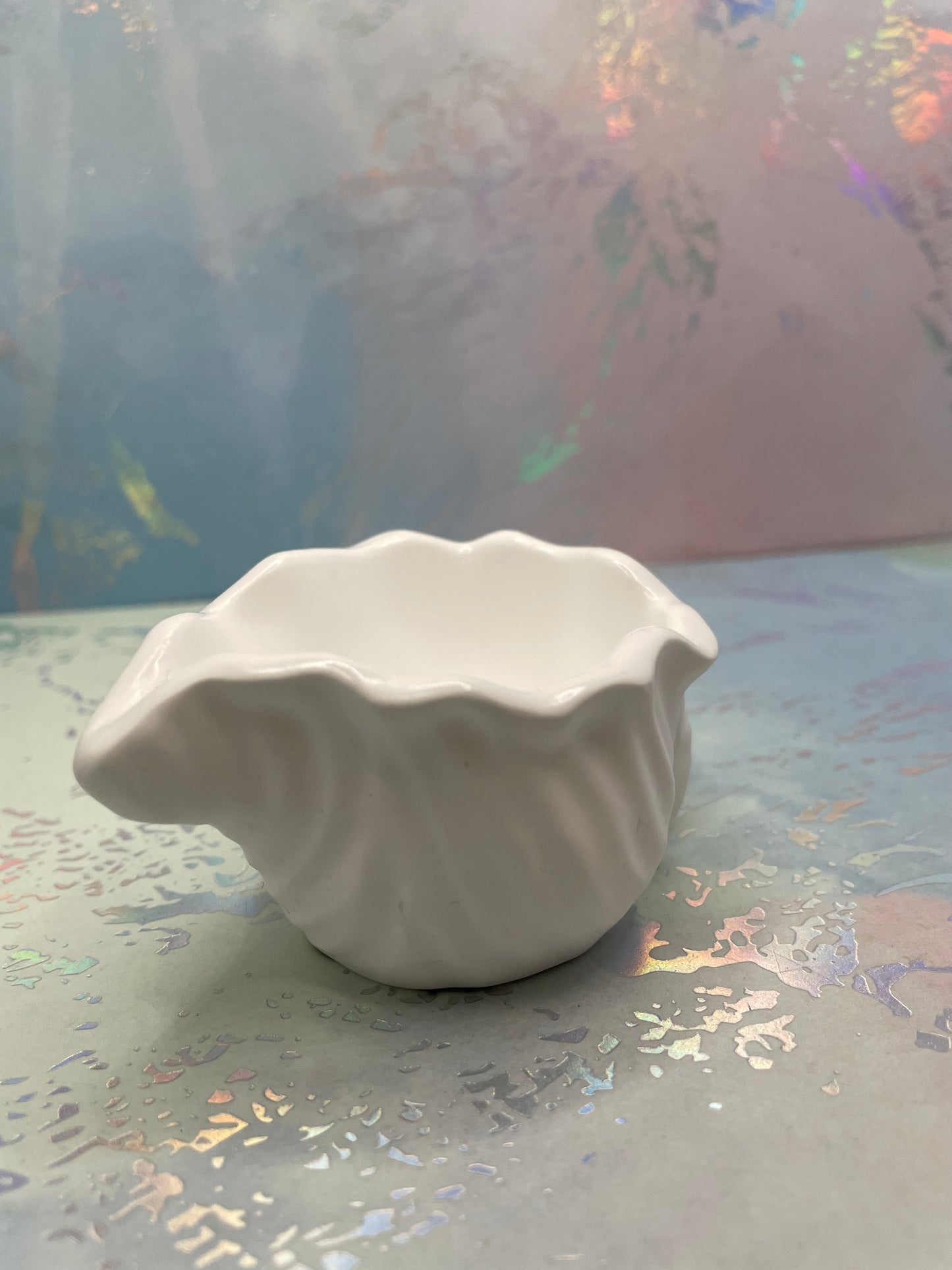 Contenant Coquillage en Éco-Résine Blanc