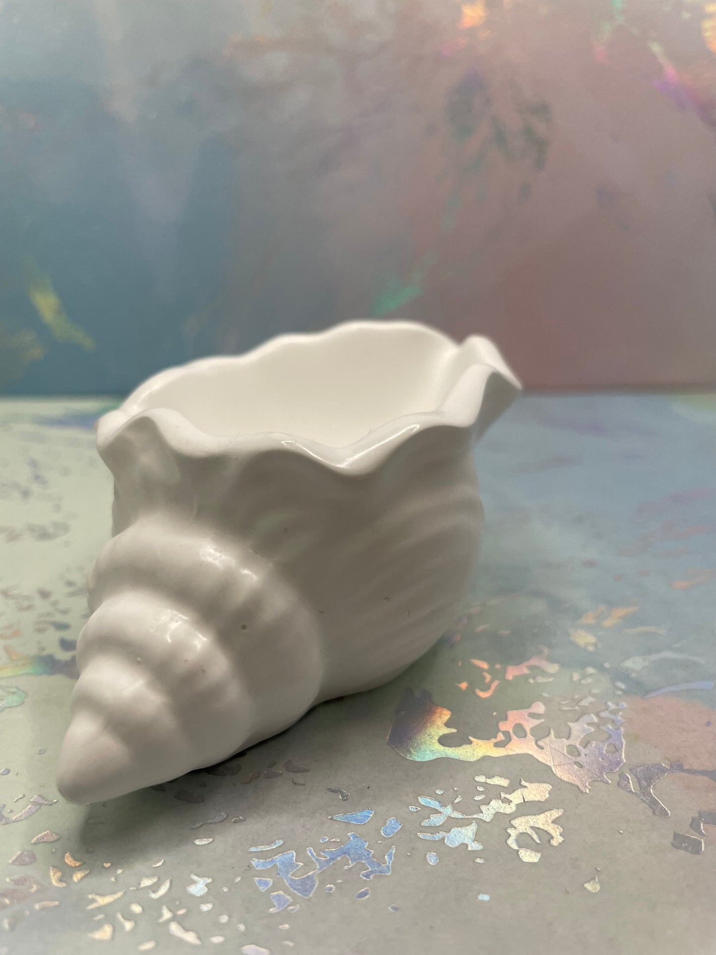 Contenant Coquillage en Éco-Résine Blanc