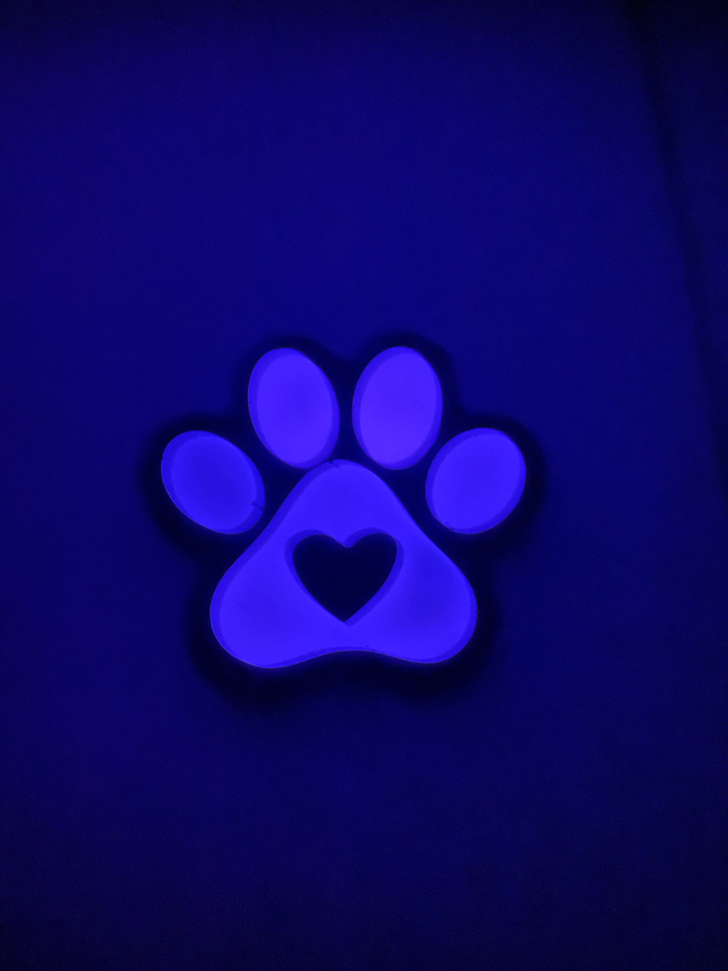 Paw Print Magnets – Sparkly Resin with Heart Design