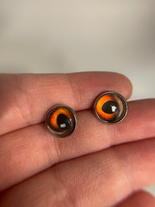 Fiery Eye Glass Cabochon Stud Earrings