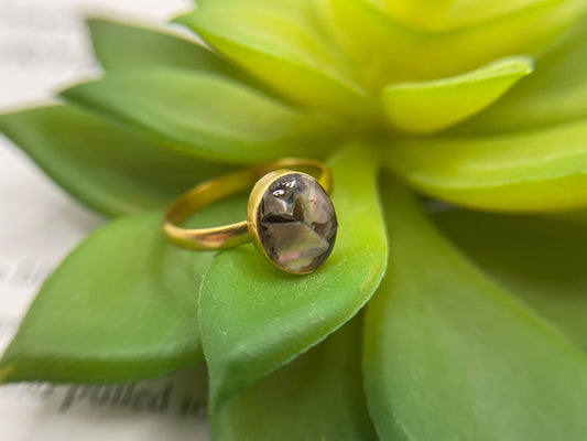 Oval Shell Gold Ring- Size 8US