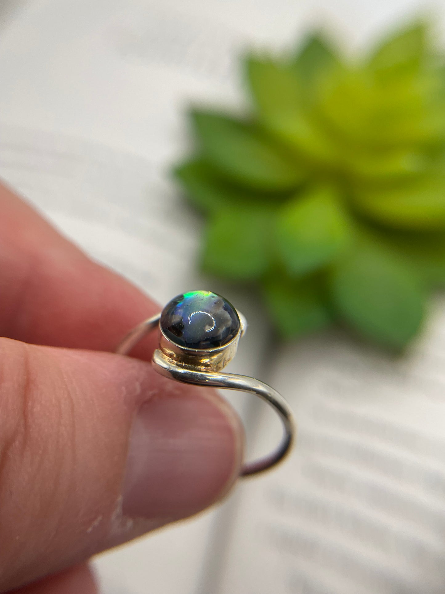 Round Shell Ring-Size 9 US