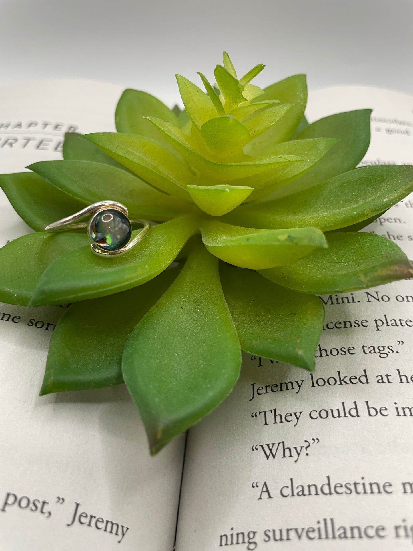 Round Shell Ring-Size 9 US