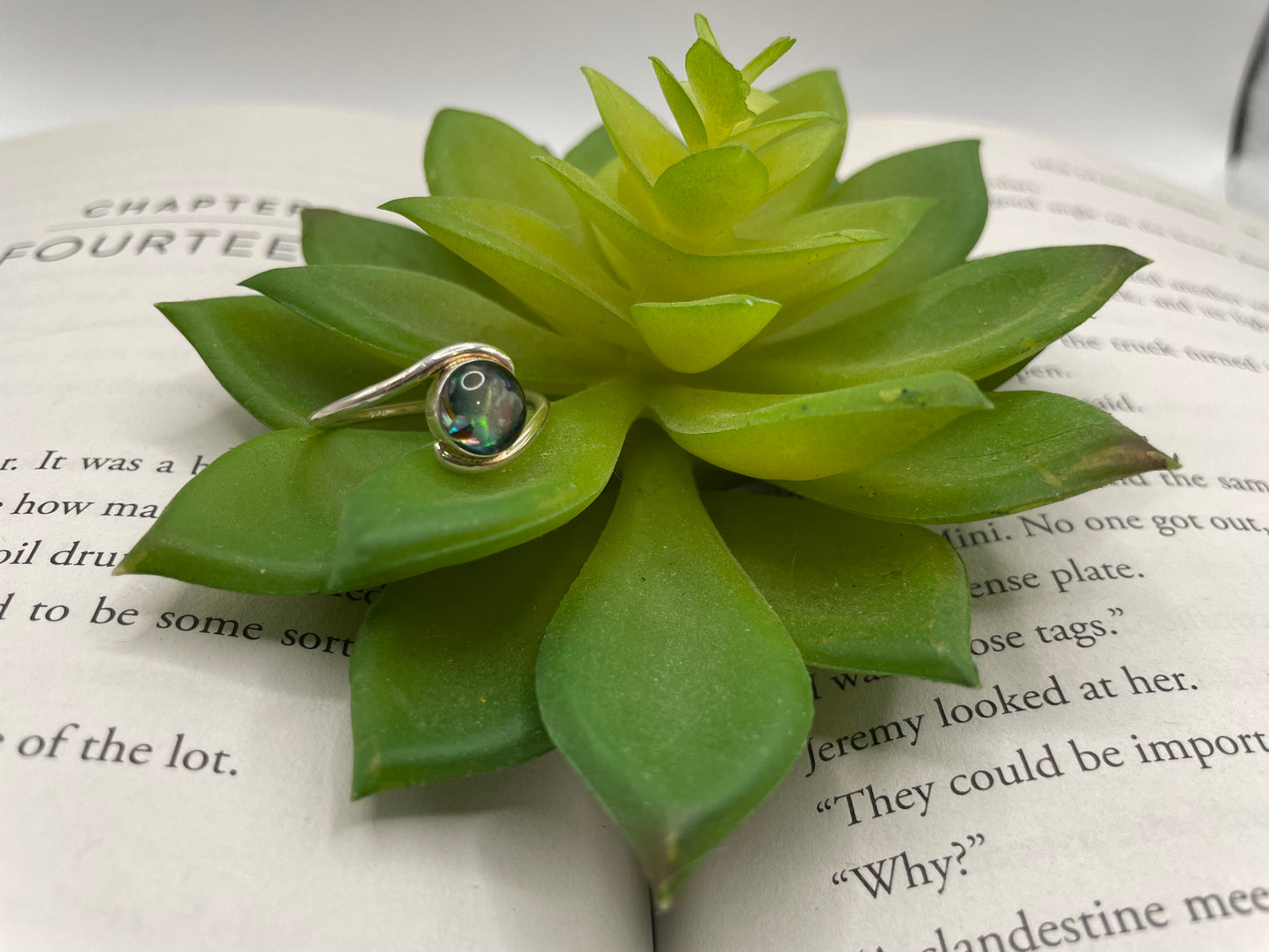 Round Shell Ring-Size 9 US