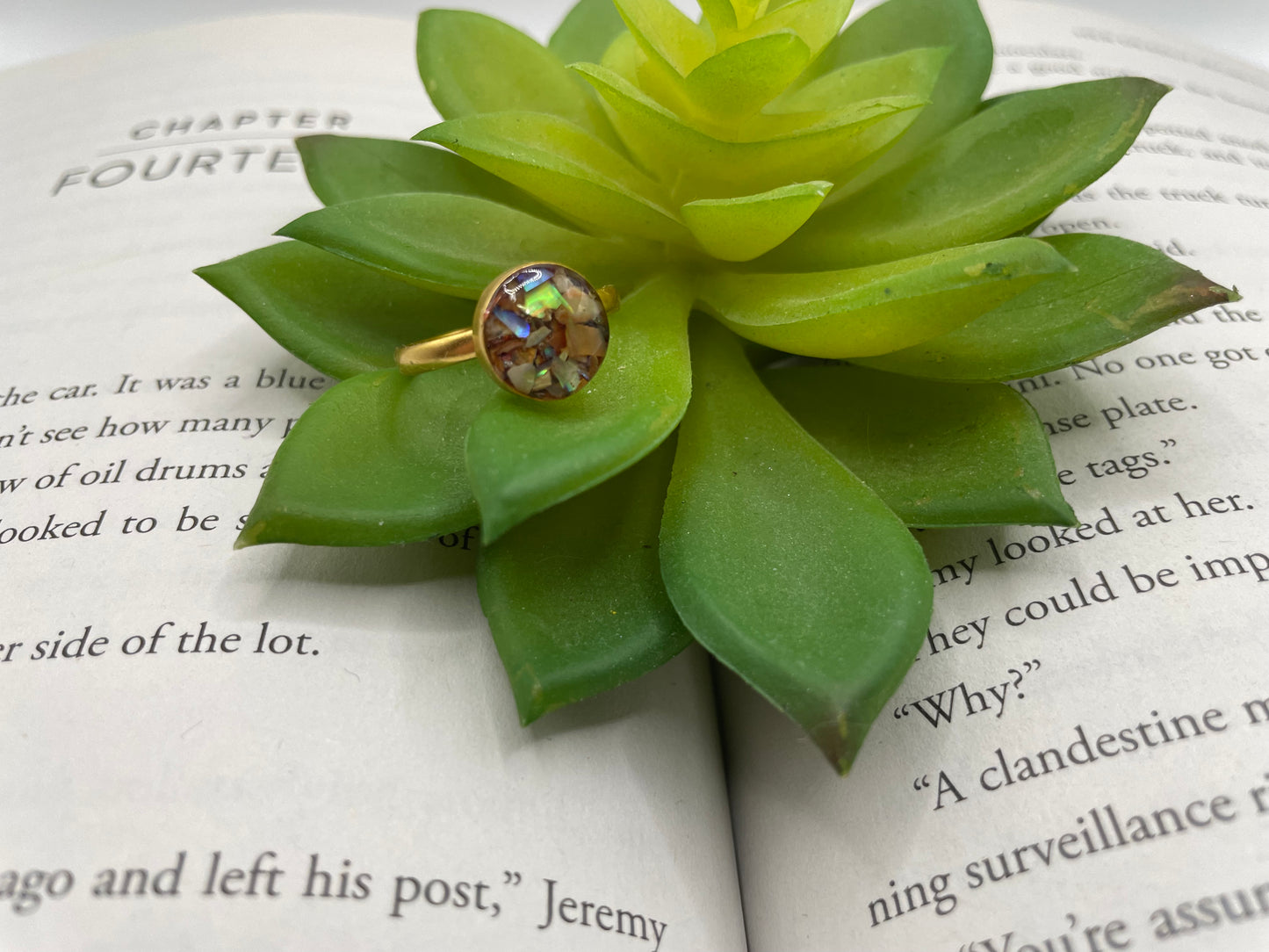 Round Shell Gold Ring-Size 7US