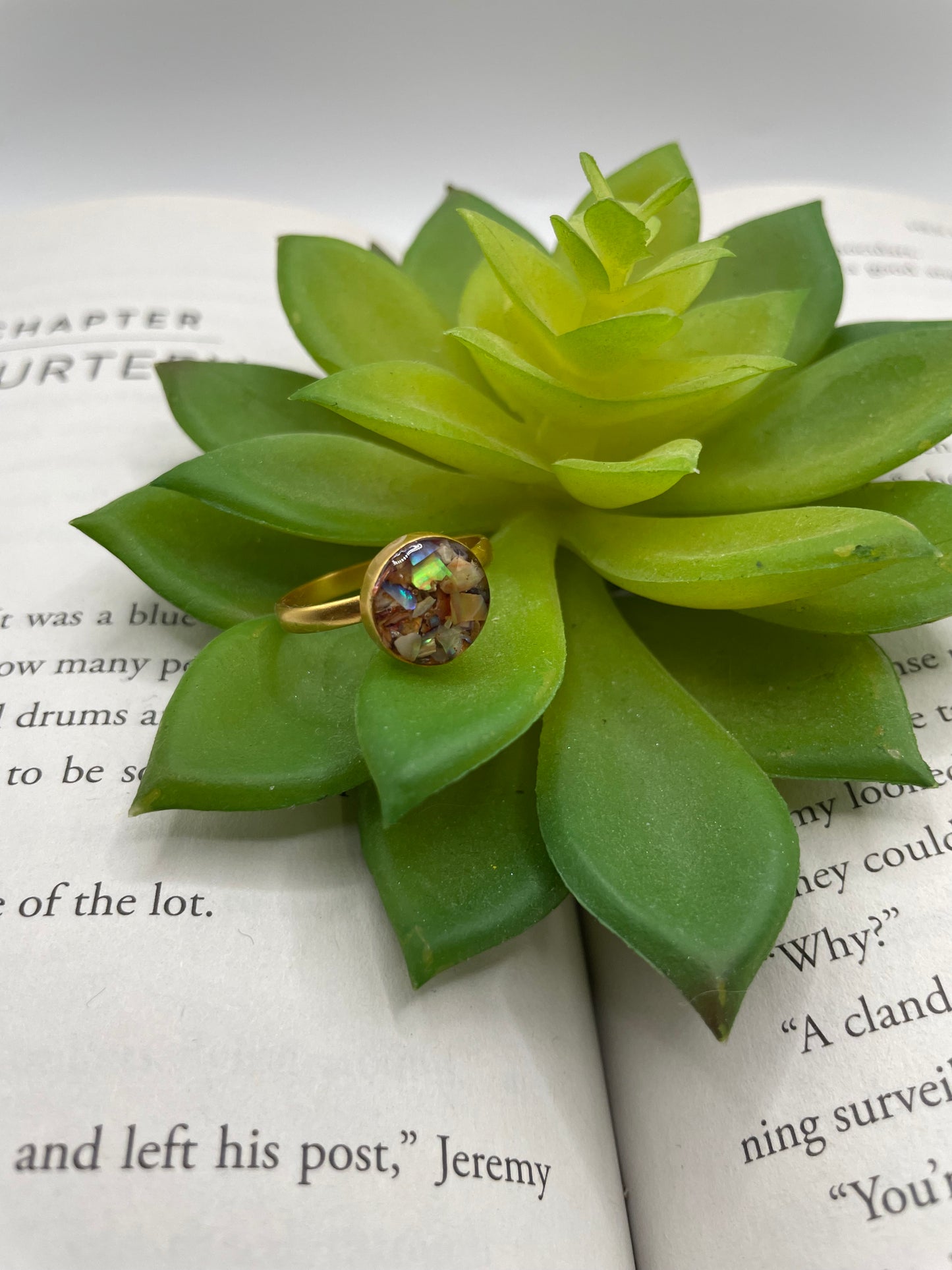 Round Shell Gold Ring-Size 7US