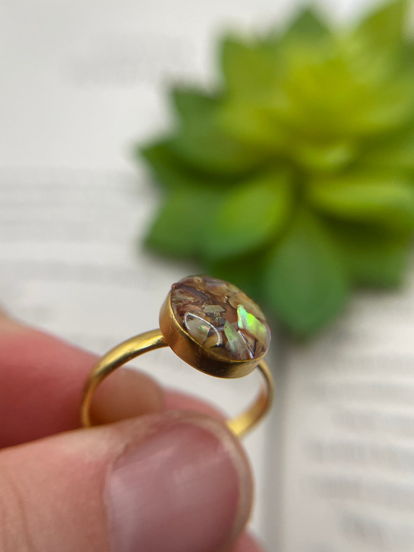 Round Shell Gold Ring-Size 7US