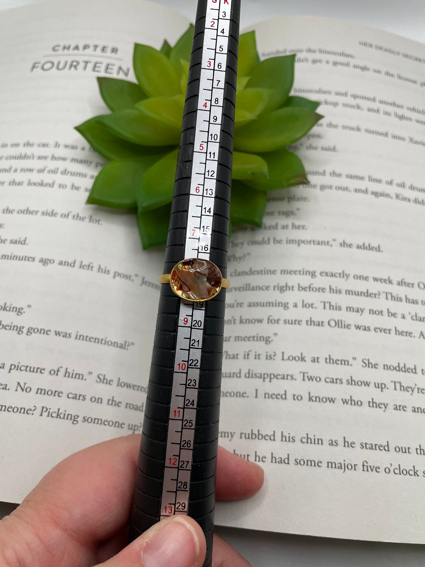 Large Round Shell Gold Ring-Size 8US