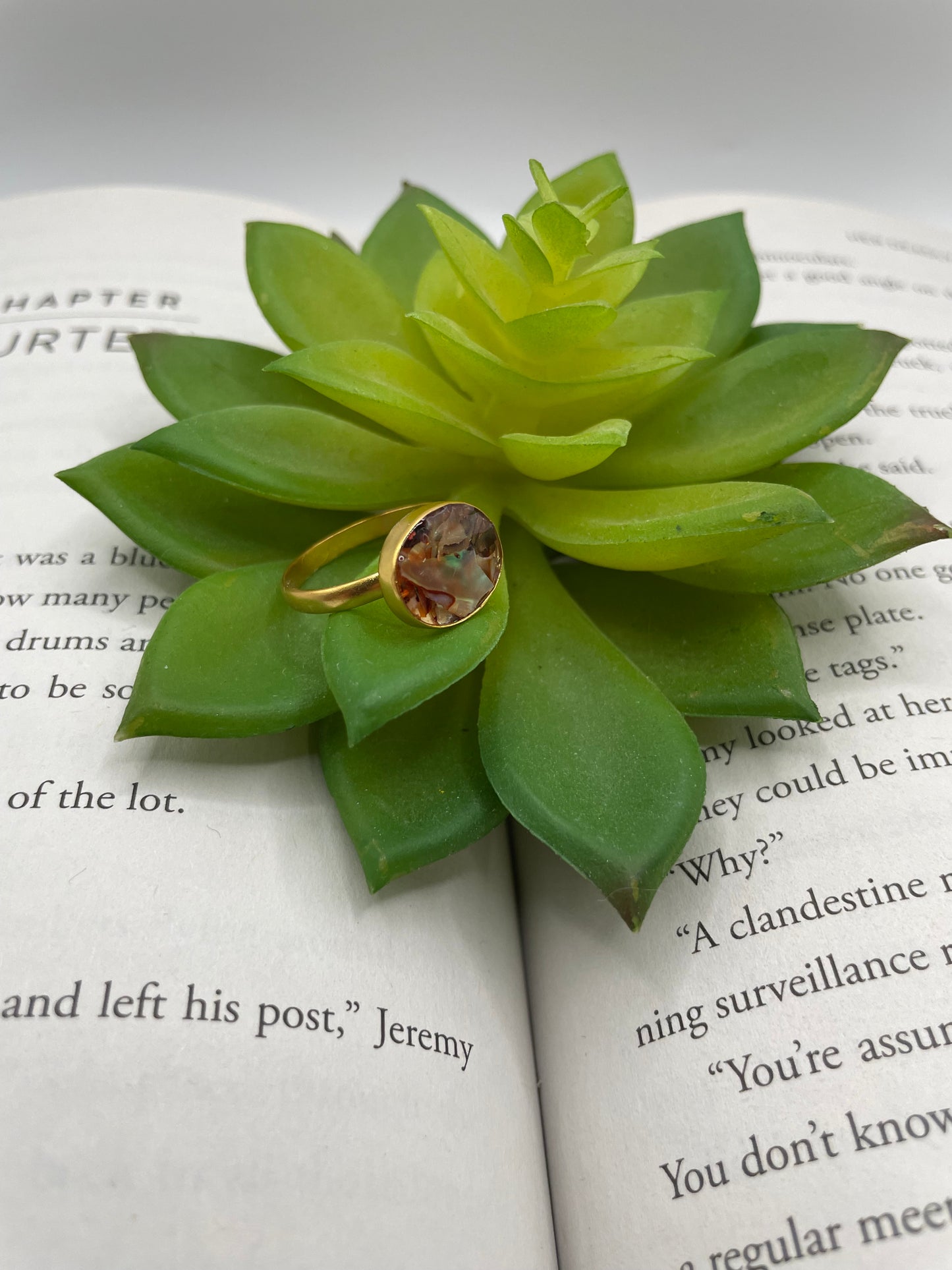 Large Round Shell Gold Ring-Size 8US