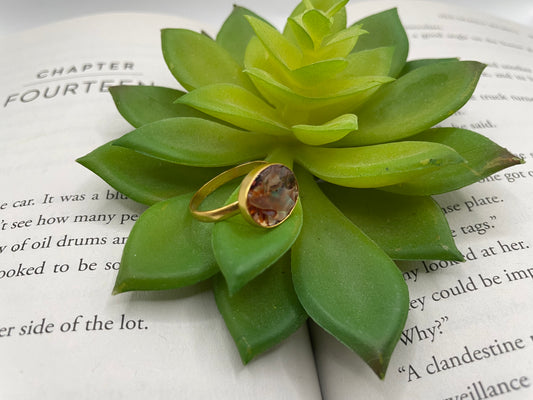 Large Round Shell Gold Ring-Size 8US