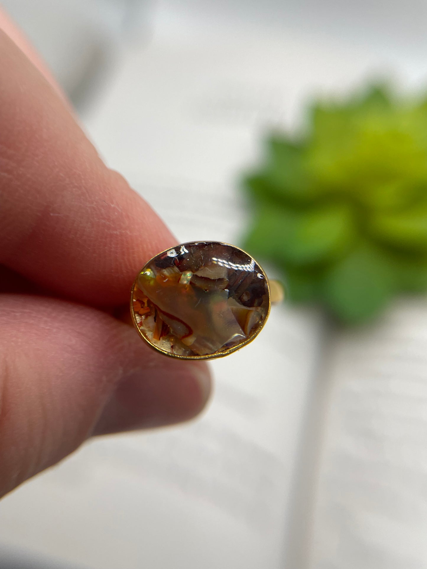 Large Round Shell Gold Ring-Size 8US