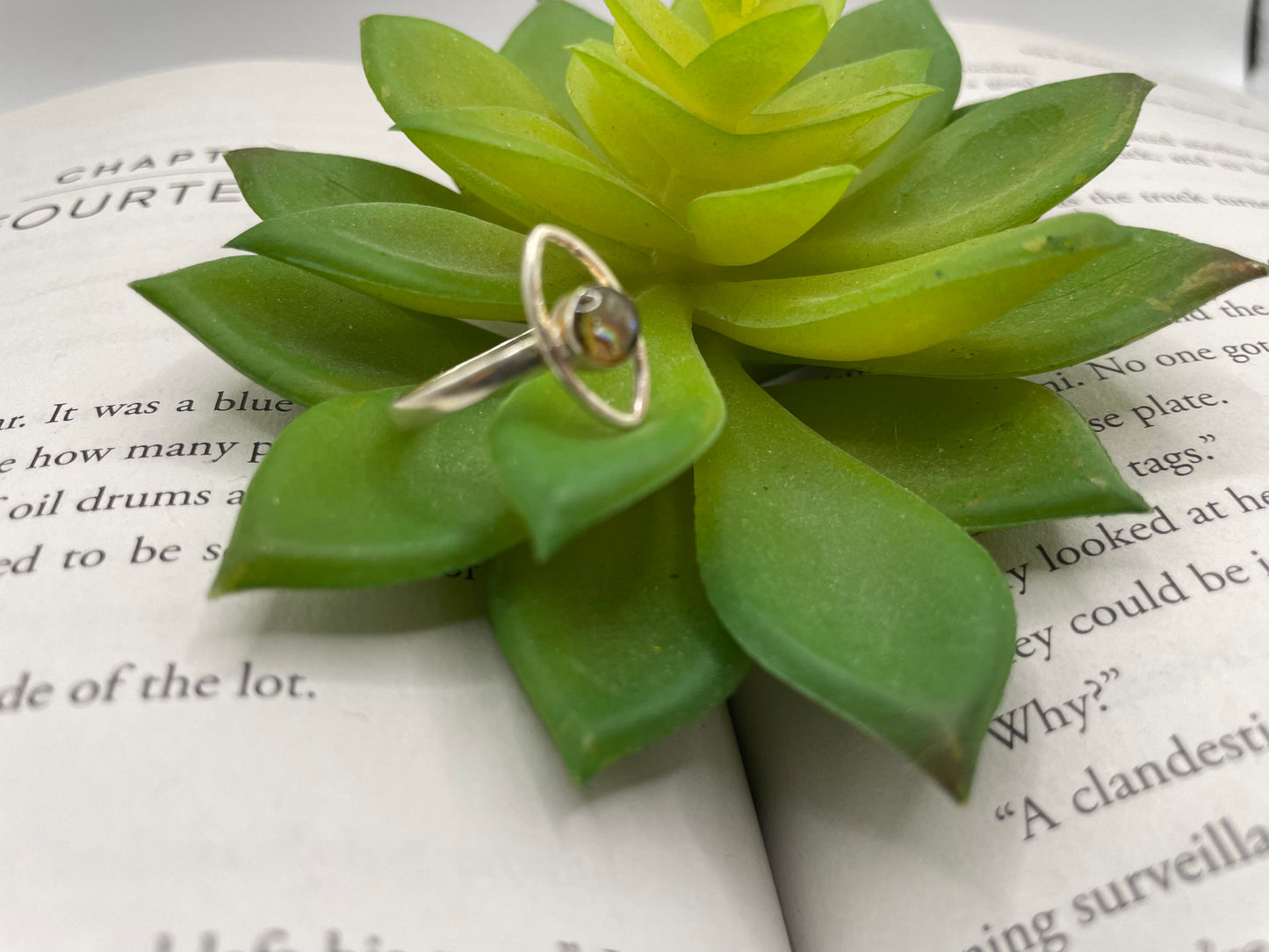 Round Shell Halo Ring- Size 8US