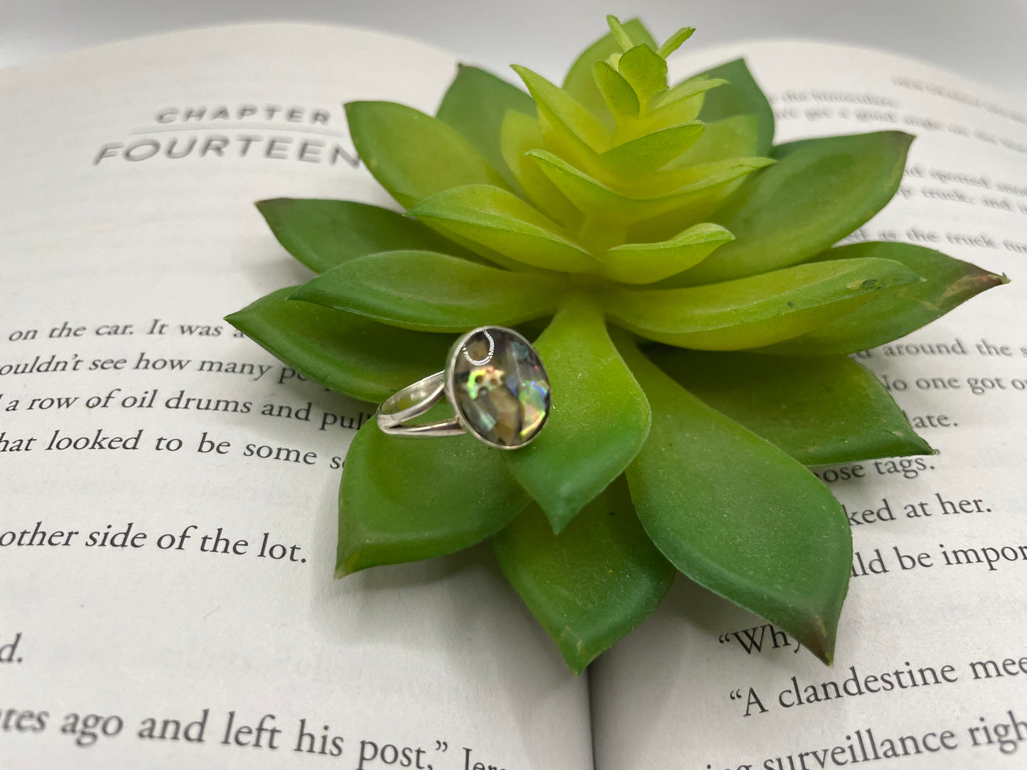 Split Shank Resin Oval Bezel Ring - Size 7 US